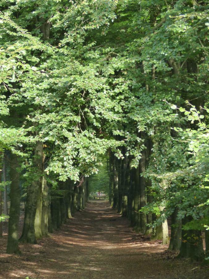 B&B Onder De Rode Beuk Dieren Exteriér fotografie